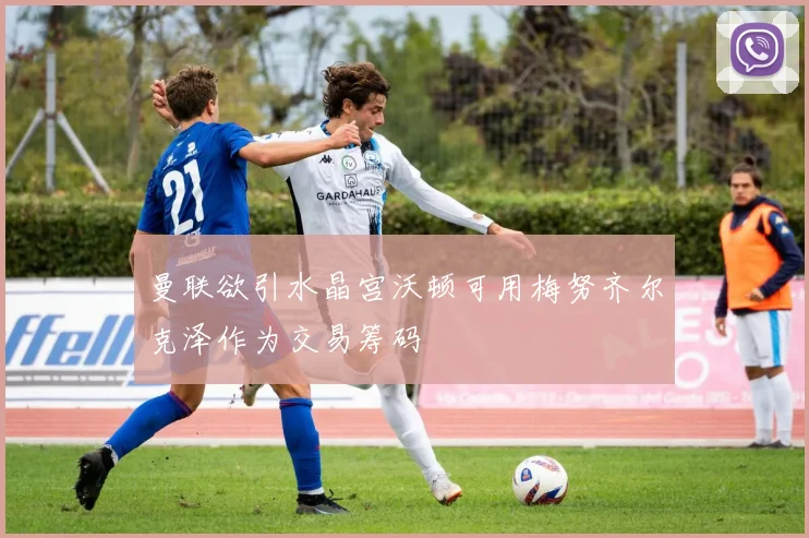 曼联欲引水晶宫沃顿可用梅努齐尔克泽作为交易筹码