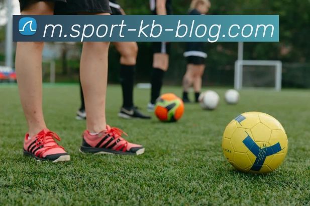 KB体育平台生态图